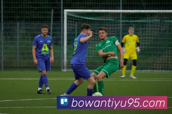 App Interface Preview